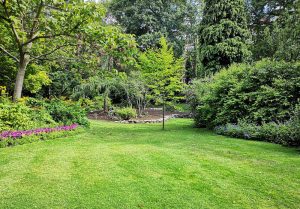 Optimiser l'expérience du jardin à Collandres-Quincarnon